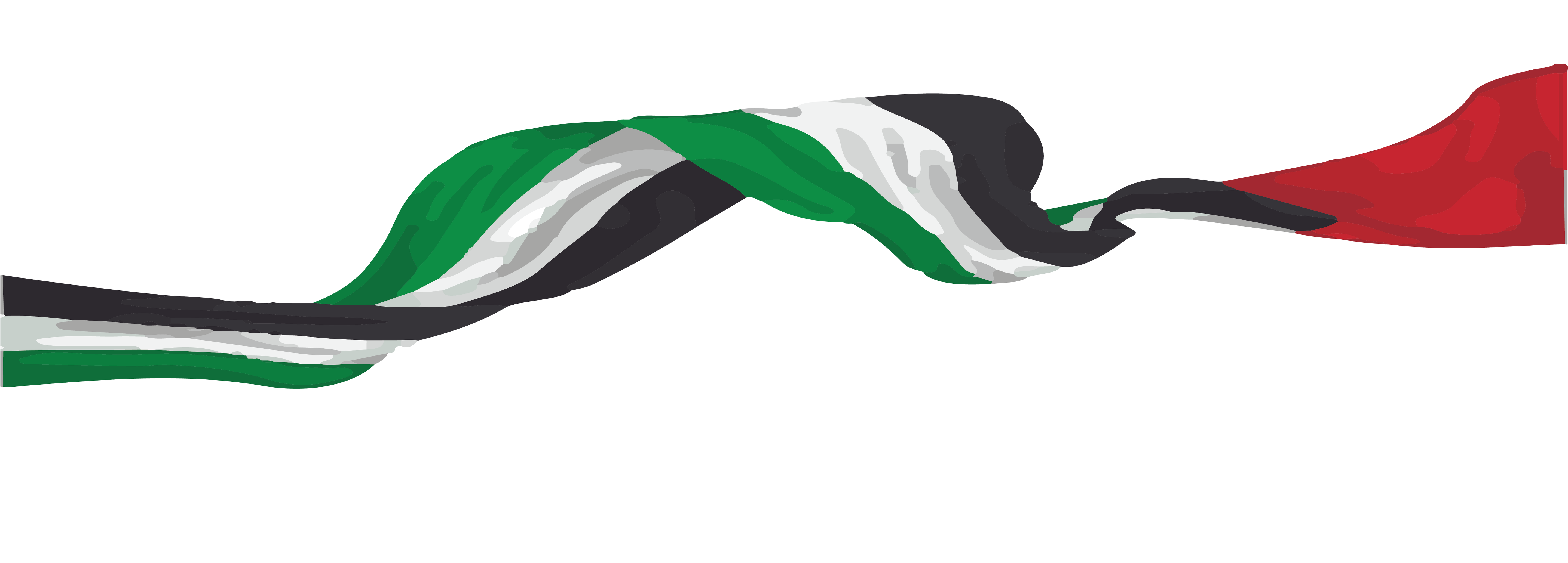 UAE Flag